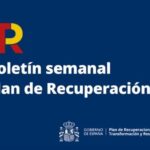 PERTE descarbonización industrial